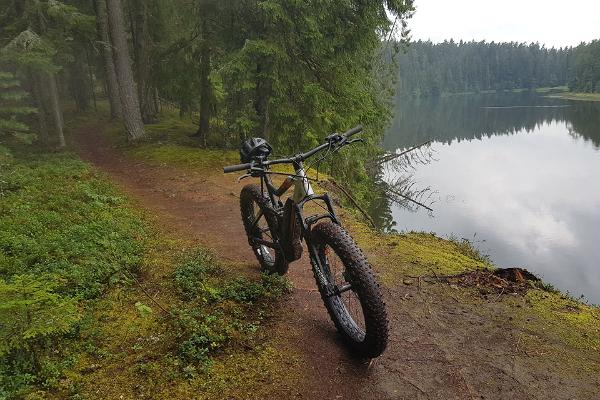 E-Bike Tour on the Trails of Nelijärve and Aegviidu