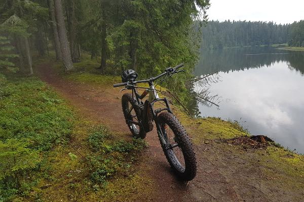 E-Bike Elektrofahrradtour auf den Wegen in Nelijärve und Aegviidu