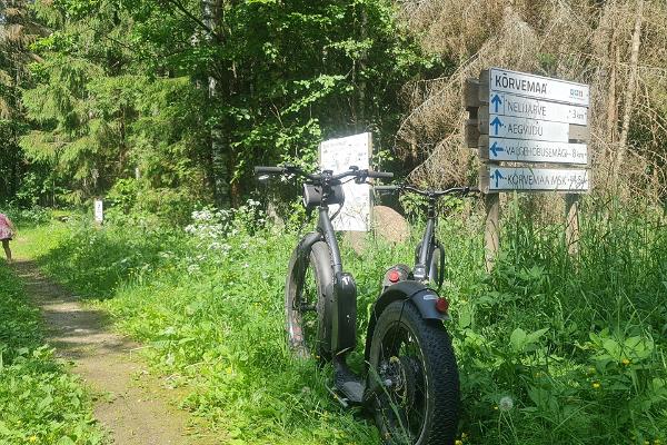 E- Bike elektrirattamatk Nelijärve ja Aegviidu radadel