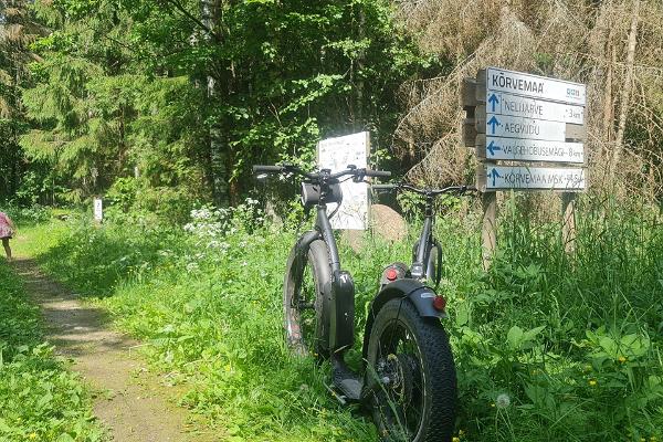 E-Bike sähköpyöräretki Nelijärven ja Aegviidun maisemissa