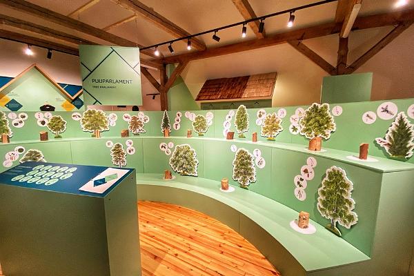 Музей леса в Сагади