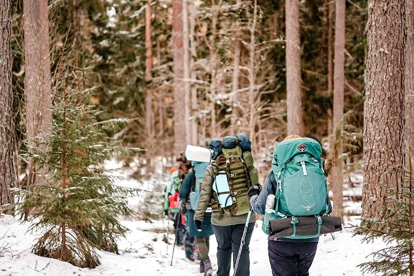 A group of hikers walking through a pine forest in winter