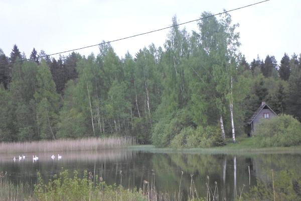 Pähnamäe metsamajake, majutus, loodus, järv, telkimine, Võrumaa, Lõuna-Eesti, perepuhkus