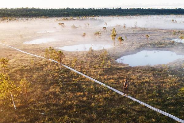 Die TOP 10 der Wanderwege in Estland