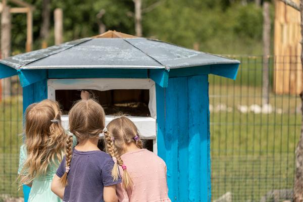 Risto Ränk Farming-Saaremaa Zoo