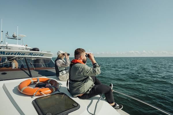Robben-Beobachtungstour bei der Insel Hiiumaa
