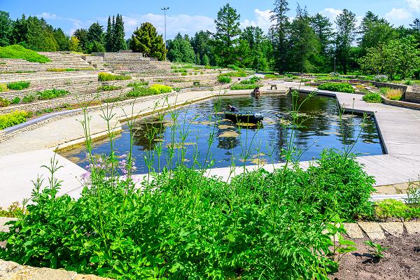 Таллиннский ботанический сад