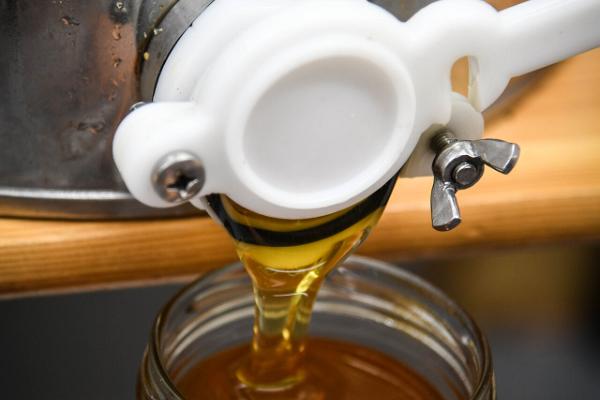 Ein langsamer Moment bei Bienenstöcken - Workshop „Honig ins Glas“