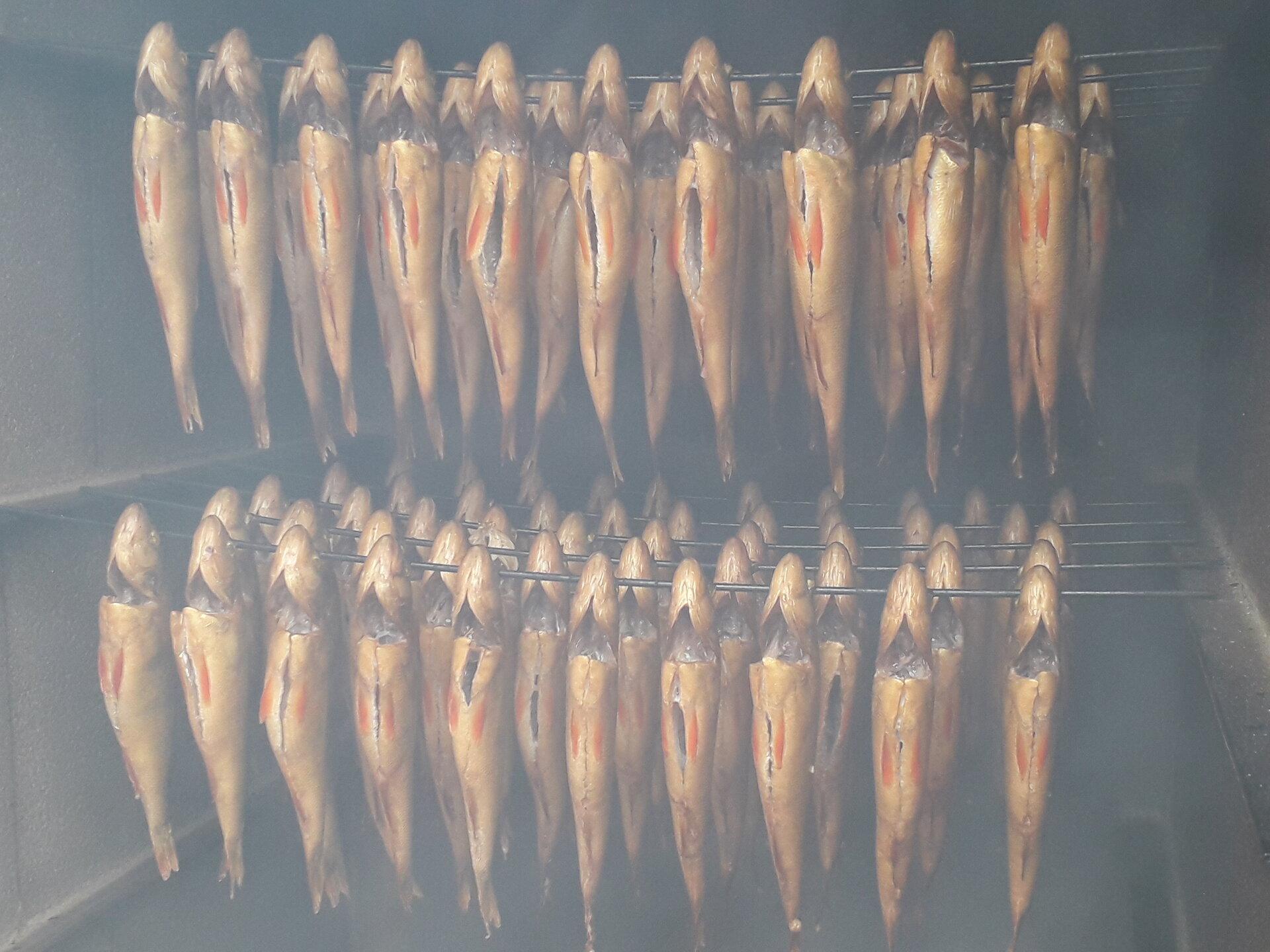 Fish handling workshop ʹFrom catch to mealʹ