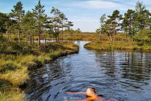 Swimming in the bog in summer