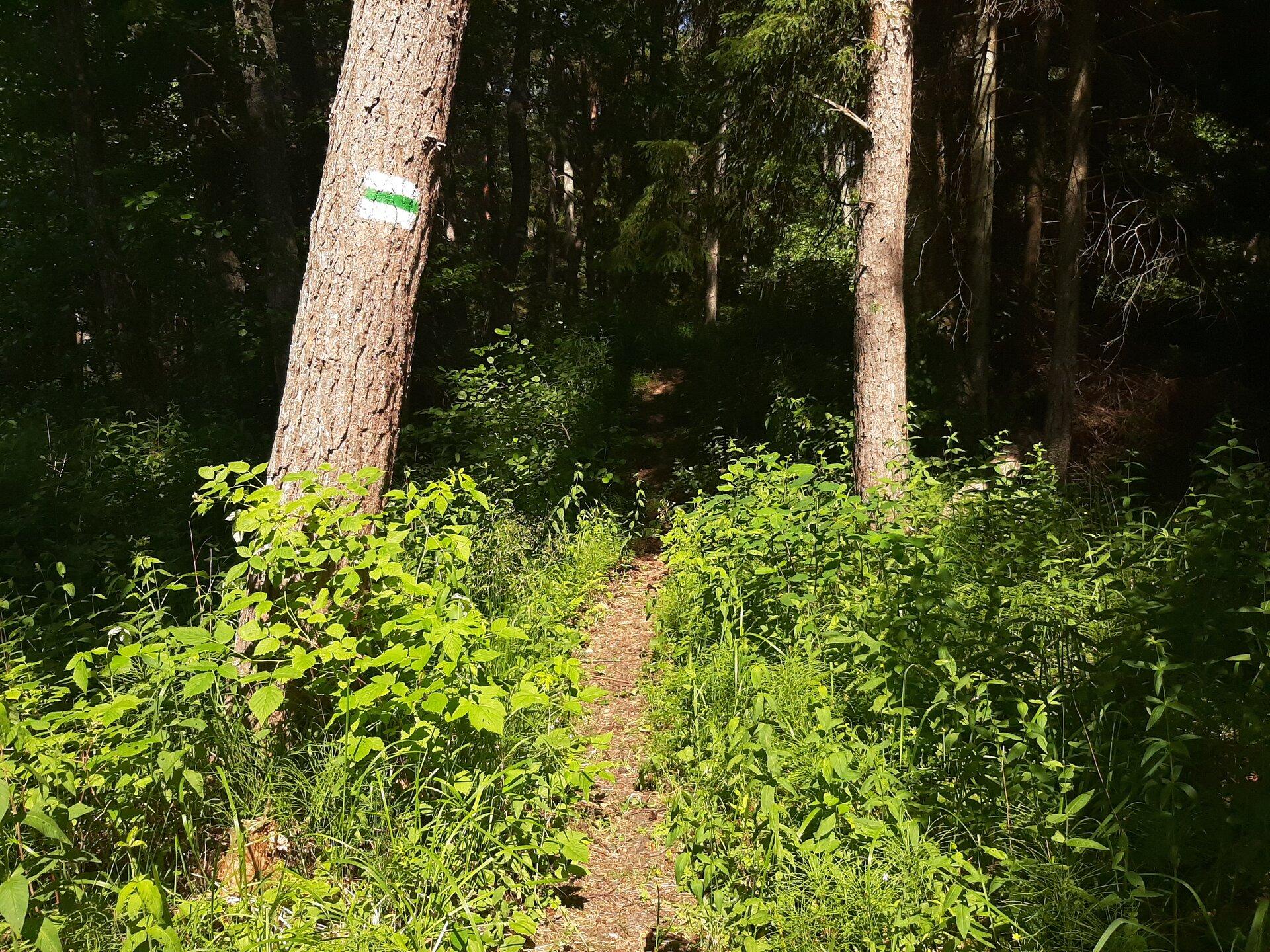 RMK Ristna õpperada