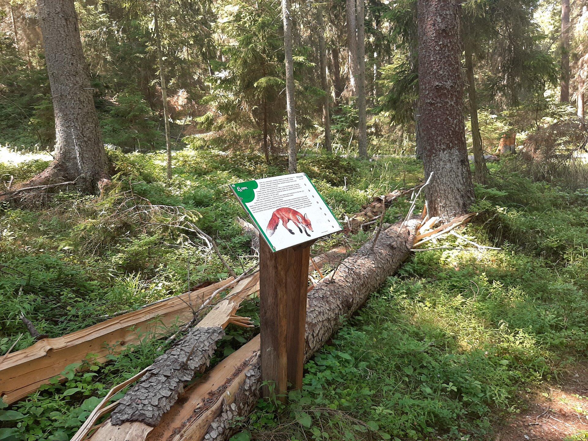 RMK Hirmuste õpperada