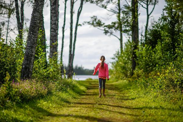 Hiking with children in Estonia