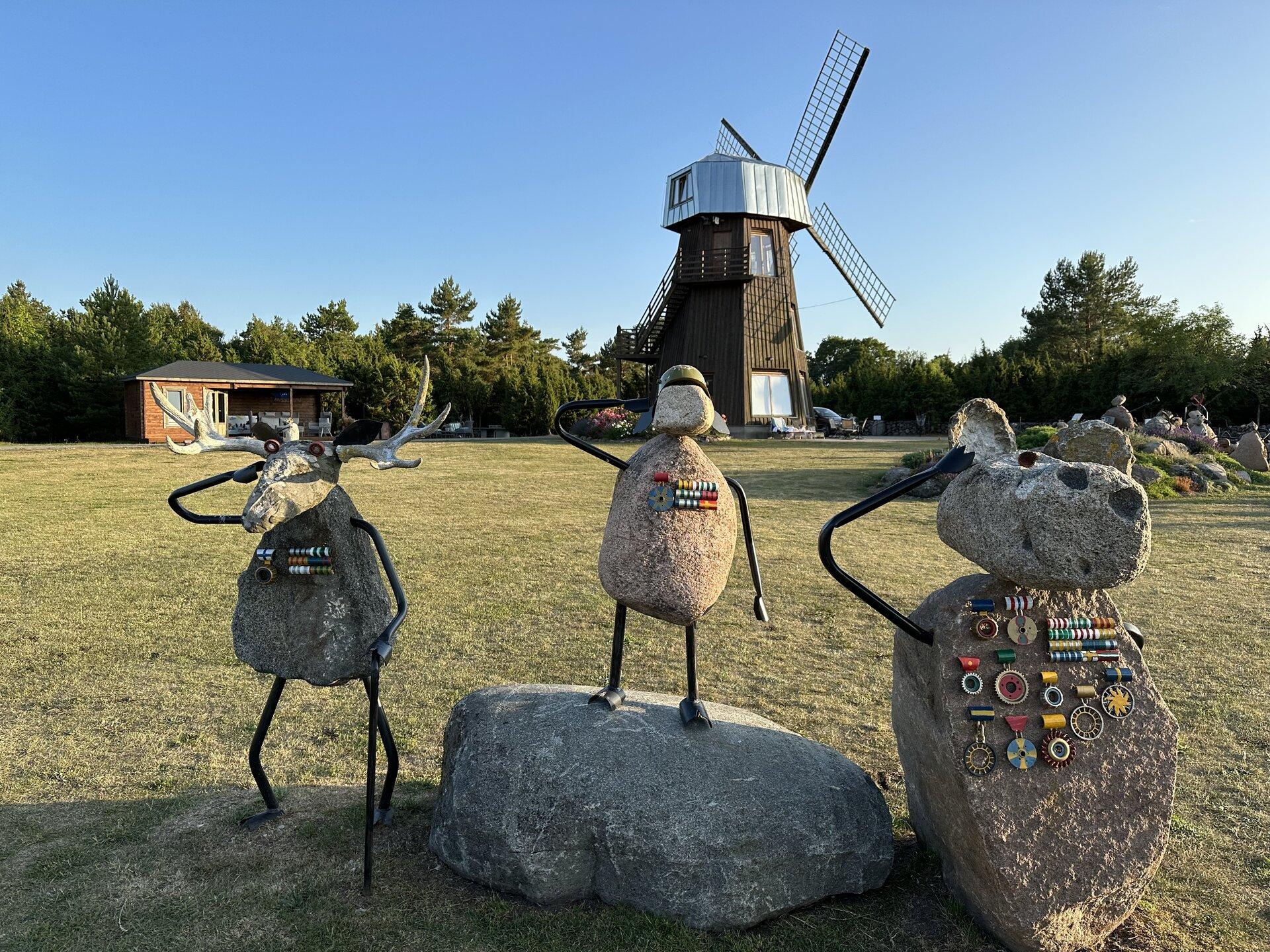 Lambakogu in Saaremaa