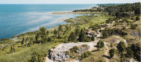 Top nature tour destinations in West Estonia