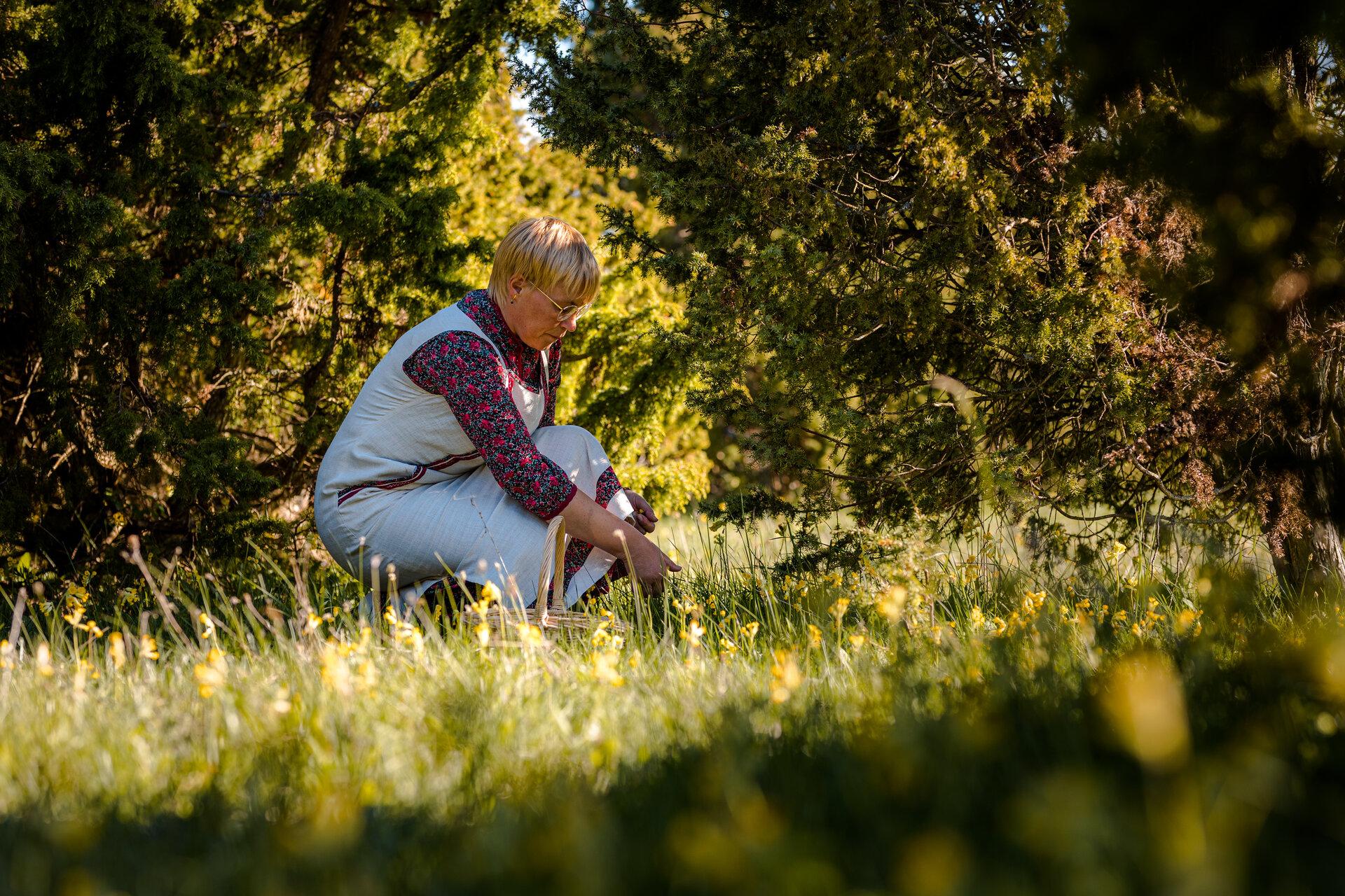 Elamuspuhkus Liisiga Orbu talu Kadakakojas