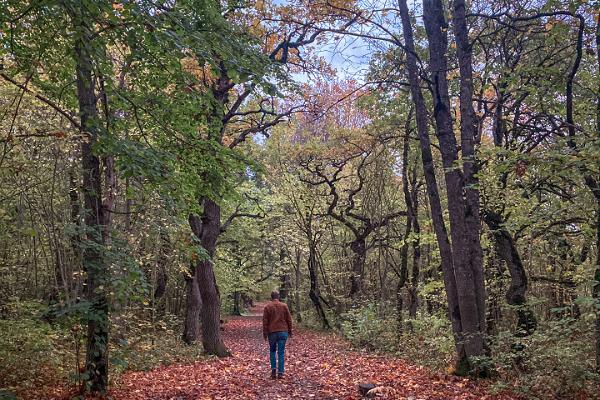 Wanderweg des Landschaftsscuhtzgebietes Neeruti