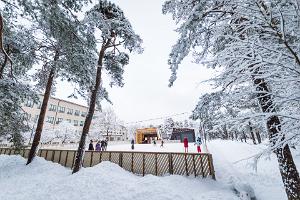 Ныммеский парк для катания на коньках