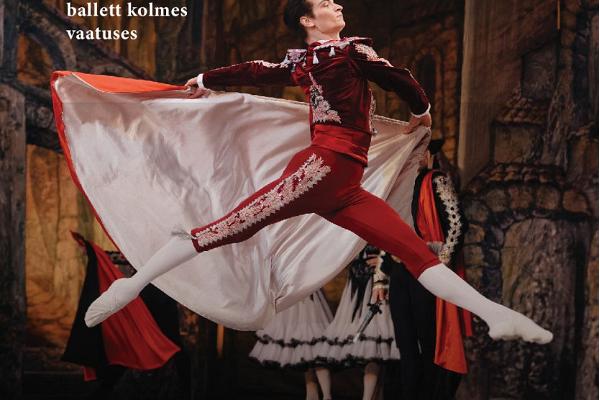 Lviv National Opera (Ukraina) Ballett "Don Quijote"
