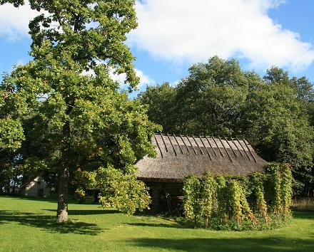 Tartust väljumisega elamustuur Lõuna-Eestis: Taevaskoja-Põlva