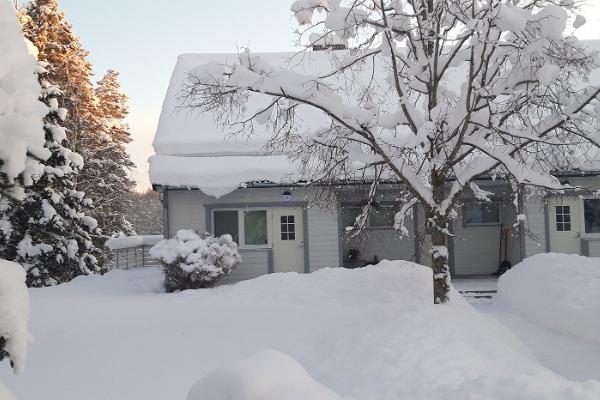 Ämmamoori Maja