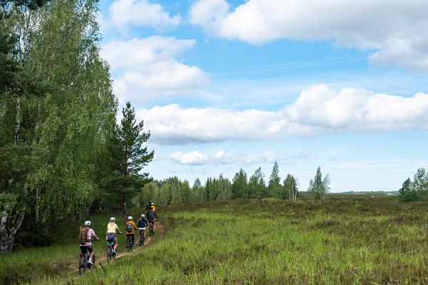 Bike Tour: Estonian Wilderness Experience