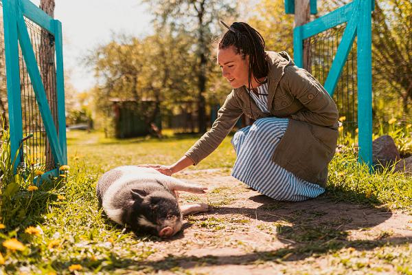 Elamuspuhkus Saaremaa Loomaaias
