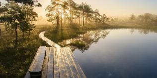 Natururlaub in Estland