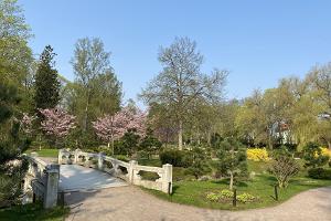Японский сад парка Кадриорг