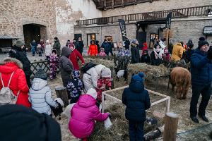 Mini-Kuh, Mini-Ziegen und Kaninchen im Mini-Zoo im Weihnachtsdorf in Narva