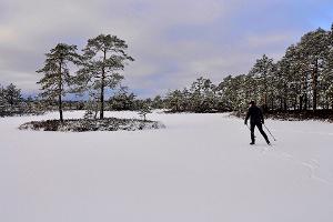 Seikle Vabaks Nordic Ice Skating im Nationalpark Soomaa