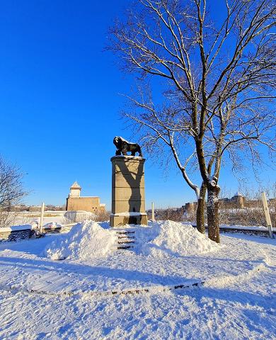 Mälestusmärk &quot;Rootsi lõvi&quot; talvel