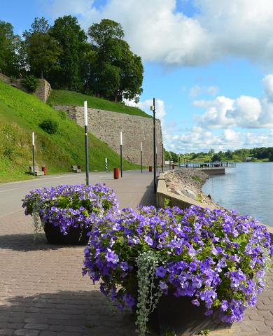 Narva Bastionid suvel, lilleklumbid, Narva jõgi