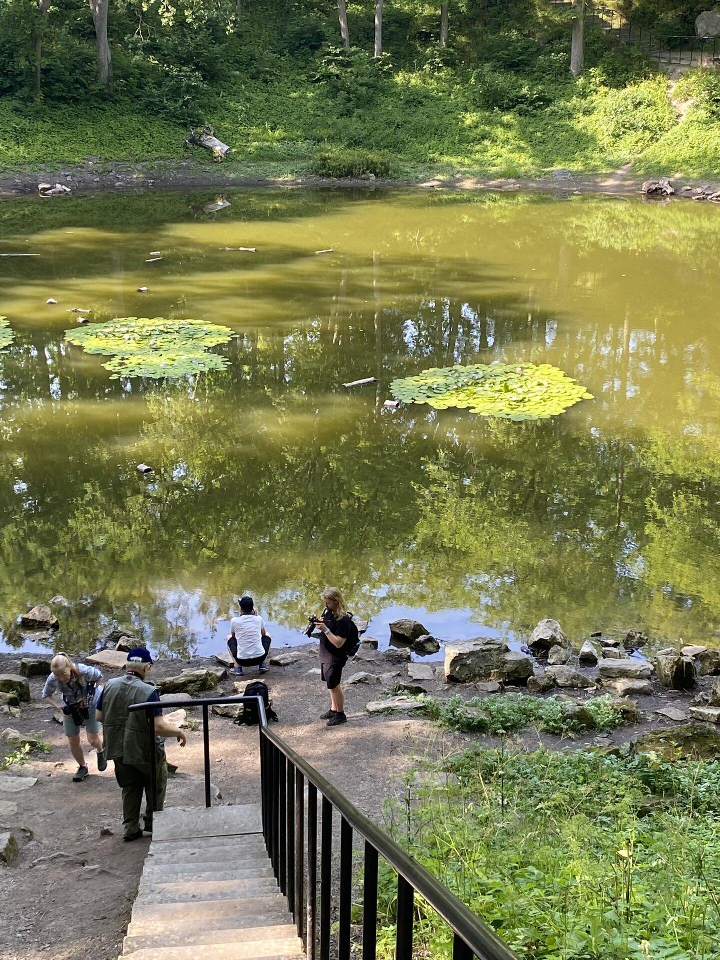 Fotograafiakursused Saaremaal