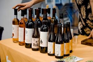 Besuch des Weinhofs Järiste und Verkostung von handwerklich hergestellten Weinen 