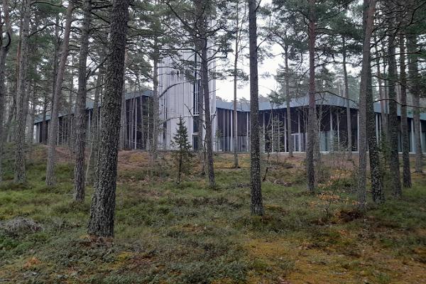 Hidden gems of Northern Estonia: Paldiski, Kloogarand, Arvo Pärt Centre, Keila-Joa