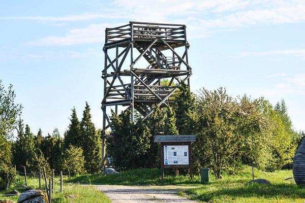 Kastna oaks and observation tower