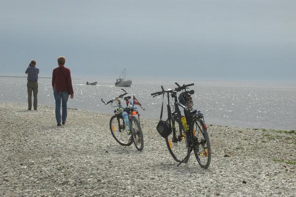 Opettavaiset pyörä- ja kävelyluontoretket Saarenmaalla, Muhussa ja Abrukassa
