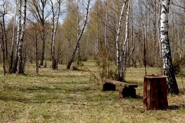 Saarte Terviserajad, Saareküla loodusrada