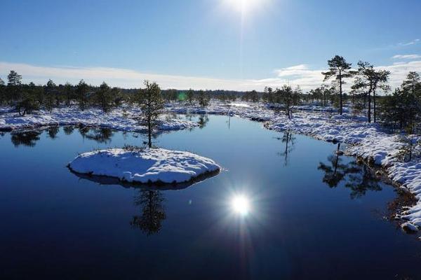 Snöskovandring på myren Kõnnu Suursoo