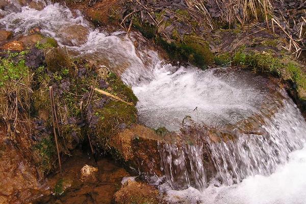 Wasserböcke im Tal Tindiorg (Vesioinad Tindiorus)