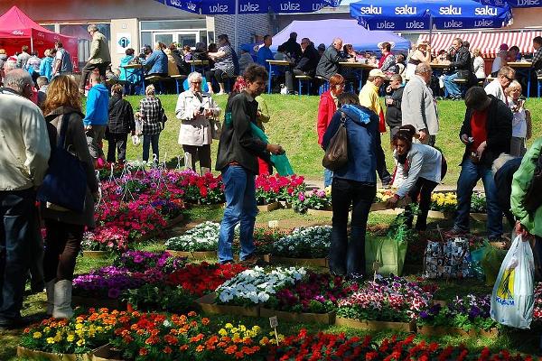 Blumenmarkt in Türi