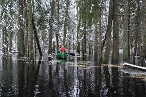 Kanuwanderungen auf dem Überflutungsgebiet im Nationalpark Soomaa