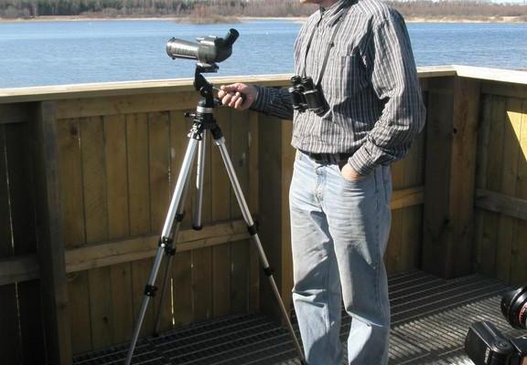 Natur-Vogelbeobachtungsturm bei Linnulaht